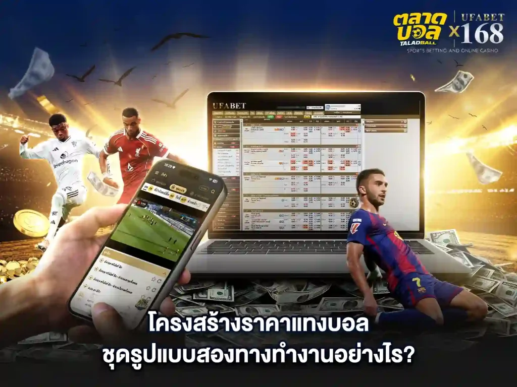 โครงสร้างแทงบอลชุด ทำงานอย่างไง